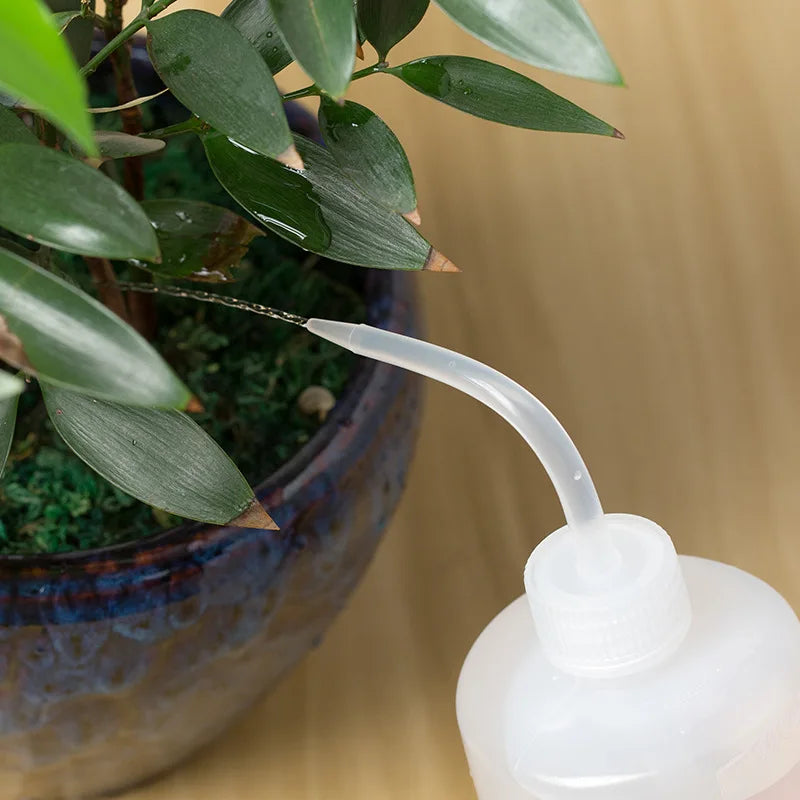 HydroFlora™ - Revolutionieren Sie die Pflanzenpflege mit ultimativer Präzision.