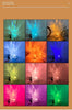 Wasserwelle Lampe