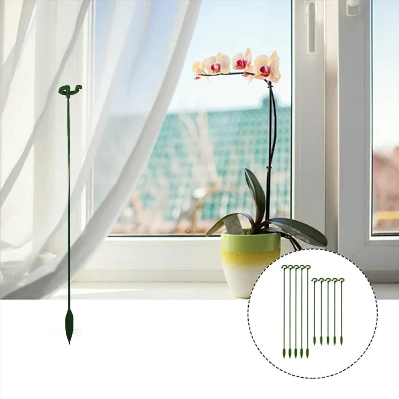 FloraGuard™ - Stilvoller Halt für Ihre Blumenpracht |60% RBATT
