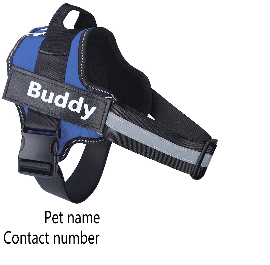 SafeDog™ - Das reflektierende und verstellbare Hundegeschirr für maximale Sicherheit.