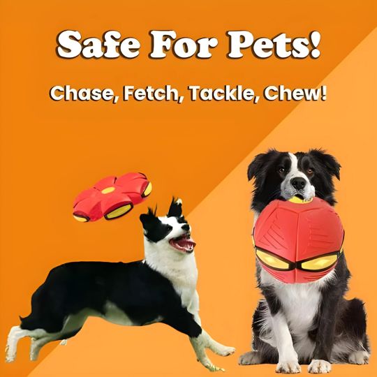 PlayPup™ - Das interaktive Spielzeug für Ihren Hund!