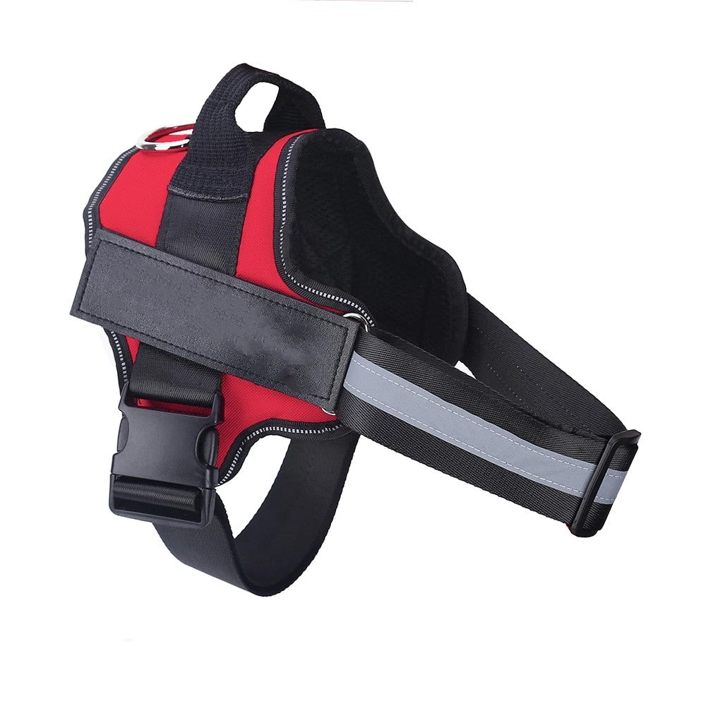 SafeDog™ - Das reflektierende und verstellbare Hundegeschirr für maximale Sicherheit.