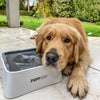 HydroPet™ - Die ultimative Lösung für spritzfreies Trinken Ihres Haustieres!