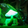 GlowMagic™ - Verzaubern Sie Ihren Raum mit Licht