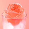 RosenZauber™ - Die perfekte Ergänzung zu Ihren Cocktails und Getränken