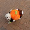 PumpkinPup™ - Lustiges Kürbiskostüm für Hunde zu Halloween und Partys.