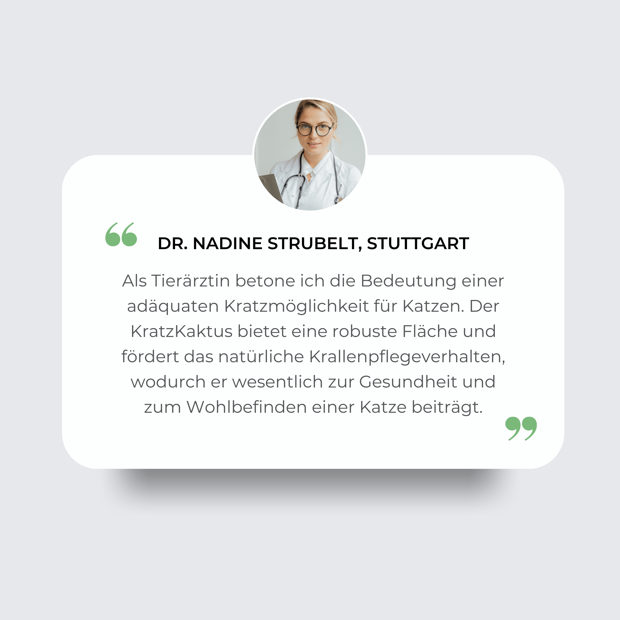 CactiScratch™ - Die elegante Kratzbaum-Alternative für anspruchsvolle Katzen.