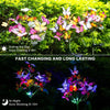 ButterflyGlow™ - Verwandeln Sie Ihren Garten in ein magisches Lichtermeer.