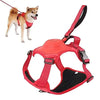 PowerPaws™ - Das ideale Set für stressfreie Spaziergänge mit Ihrem Hund.