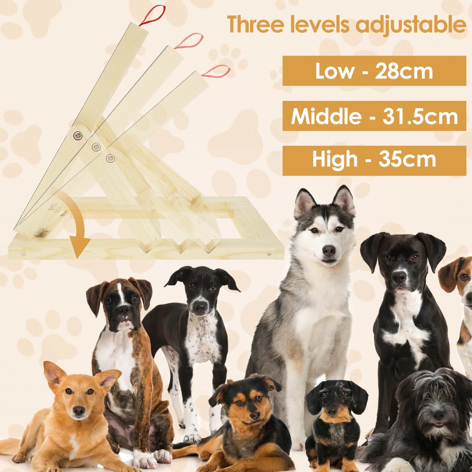 PawPerfect™ – Höhenverstellbares Kratzbrett für Hunde mit Snackbox
