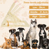 PawPerfect™ – Höhenverstellbares Kratzbrett für Hunde mit Snackbox