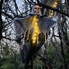 SkullGhost™ - Leuchtender Halloween-Geist mit LED-Lichtern und Schädel zum Aufhängen.