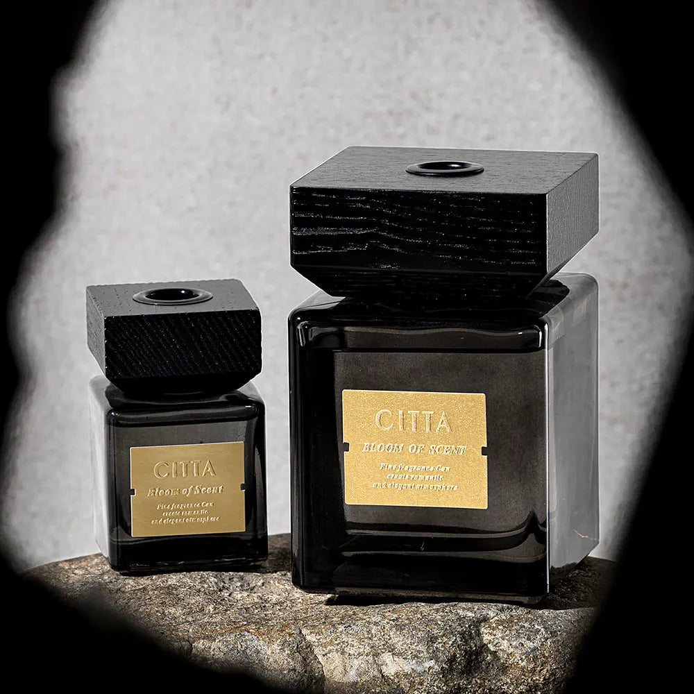 AromaLuxe™ – CITTA Raumduft-Set mit ätherischen Ölen und Reed Diffuser
