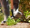 GreenGrip™ - Revolutionieren Sie die Unkrautentfernung in Ihrem Garten.