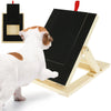 PawPerfect™ – Höhenverstellbares Kratzbrett für Hunde mit Snackbox