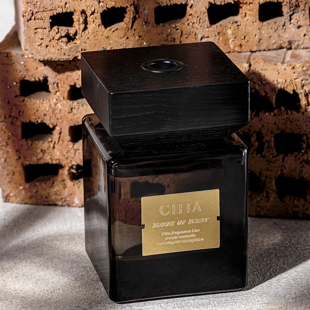 AromaLuxe™ – CITTA Raumduft-Set mit ätherischen Ölen und Reed Diffuser