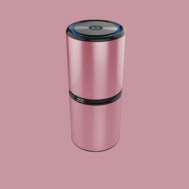 AirPure Ionic Pro™ – Reinigen Sie Ihre Luft für ein gesundes Frühjahr 2024.