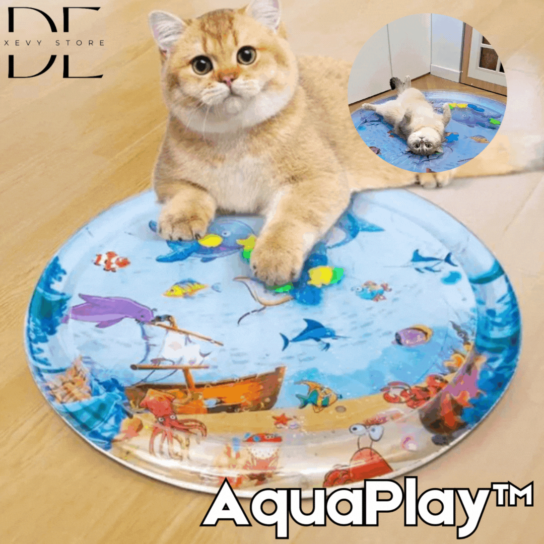 AquaPlay™ - Der perfekte Wasserspielmatte für endlosen Spaß | 60% RABATT