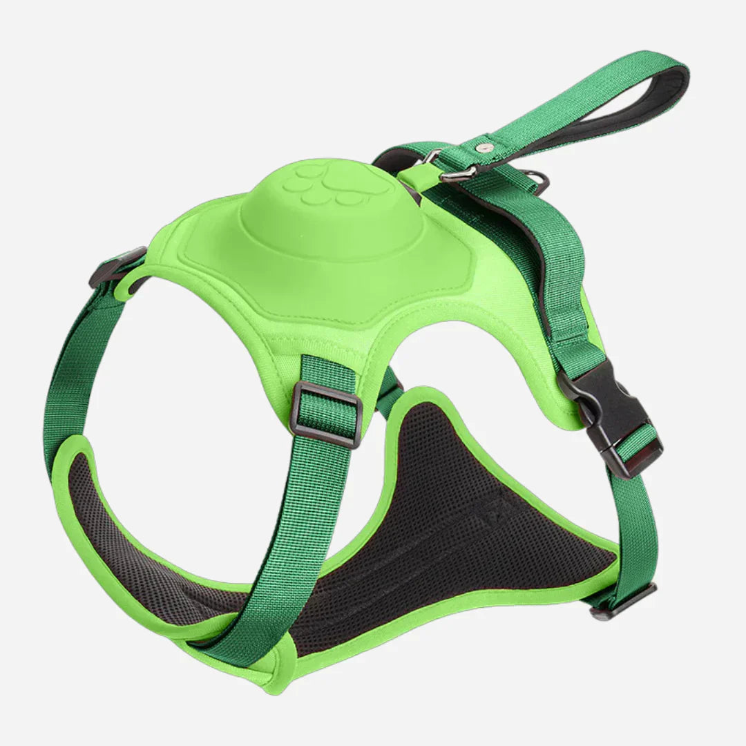 PowerPaws™ - Das ideale Set für stressfreie Spaziergänge mit Ihrem Hund.