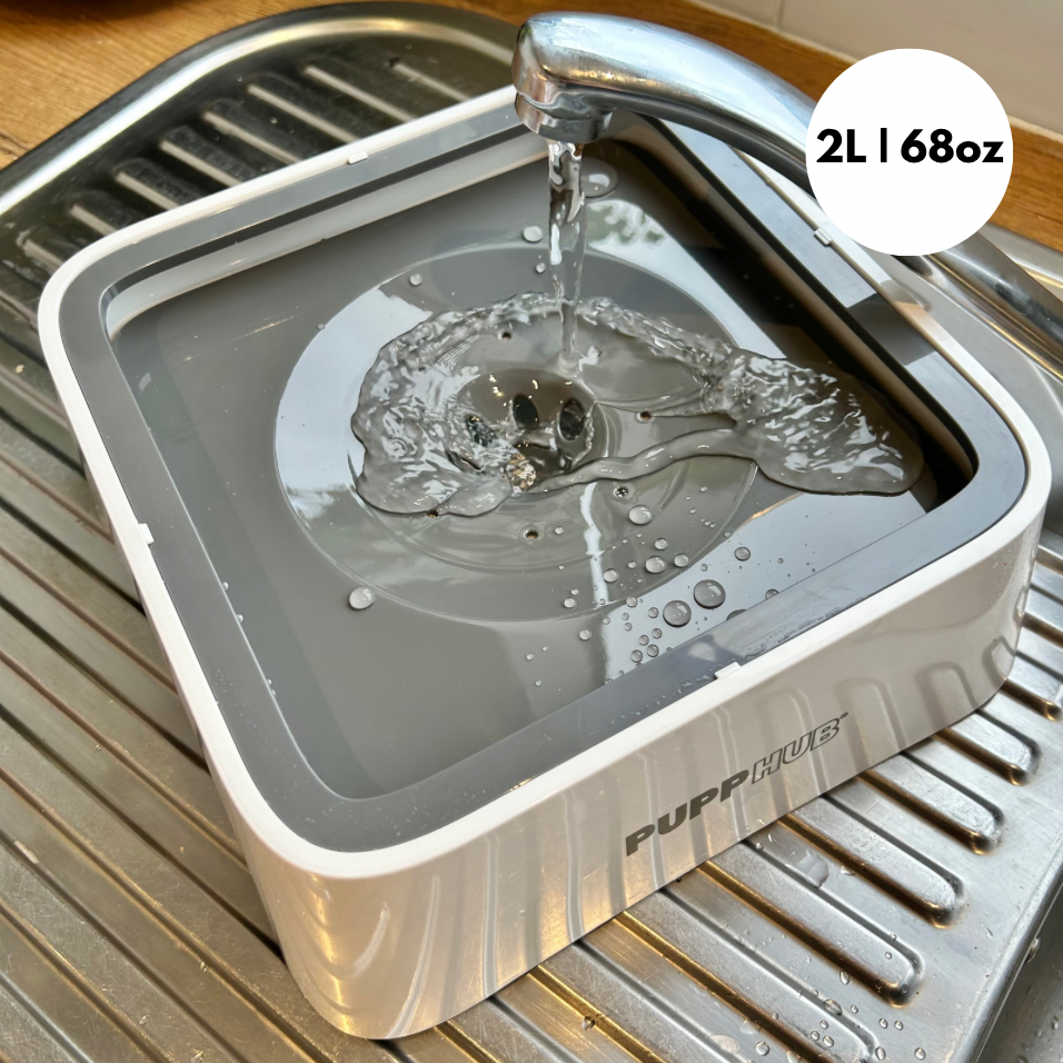 HydroPet™ - Die ultimative Lösung für spritzfreies Trinken Ihres Haustieres!