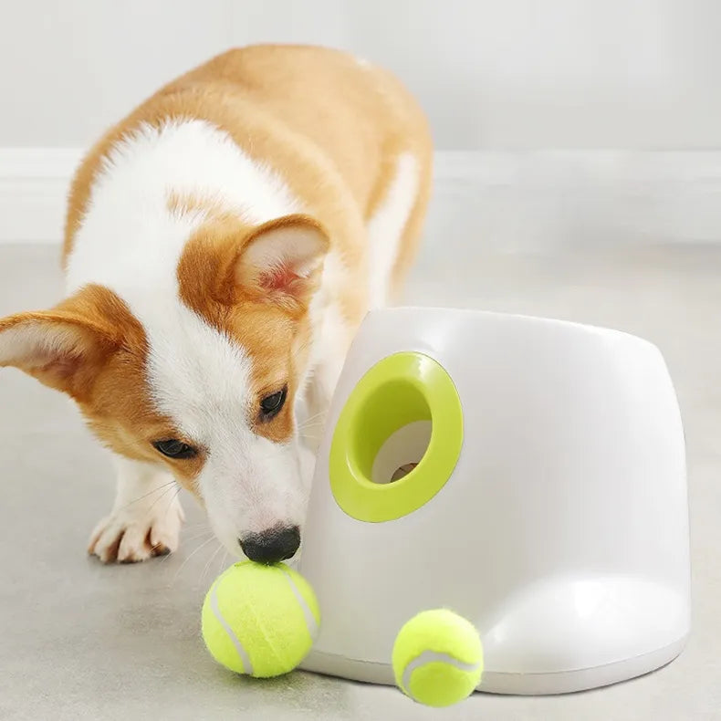 PupLaunch™ Unbeschwerter Spaß für Ihren Hund!